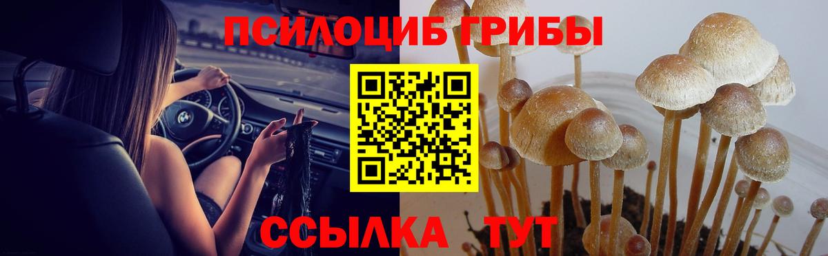 Галлюциногенные грибы MAGIC MUSHROOMS  Галлюциногенные грибы Magic Shrooms  Вход с VPN  Бийск 