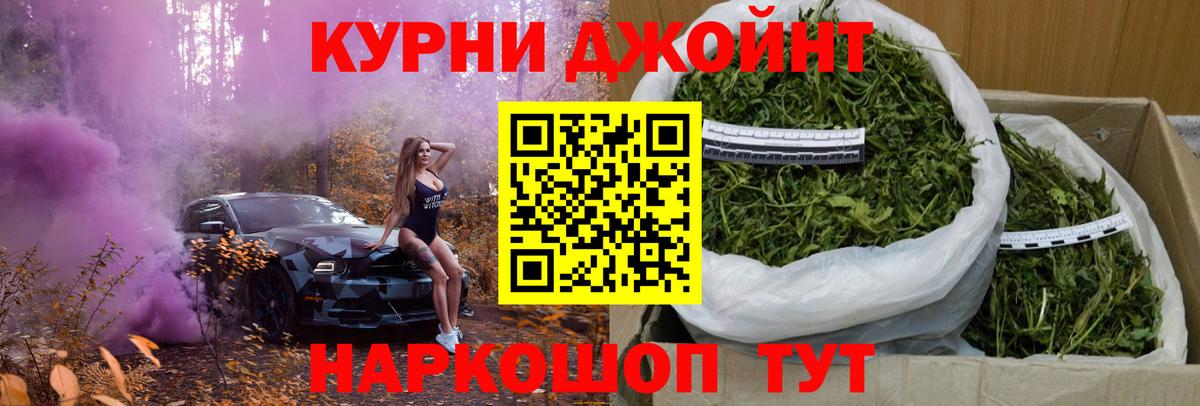 Канабис сатива Бийск